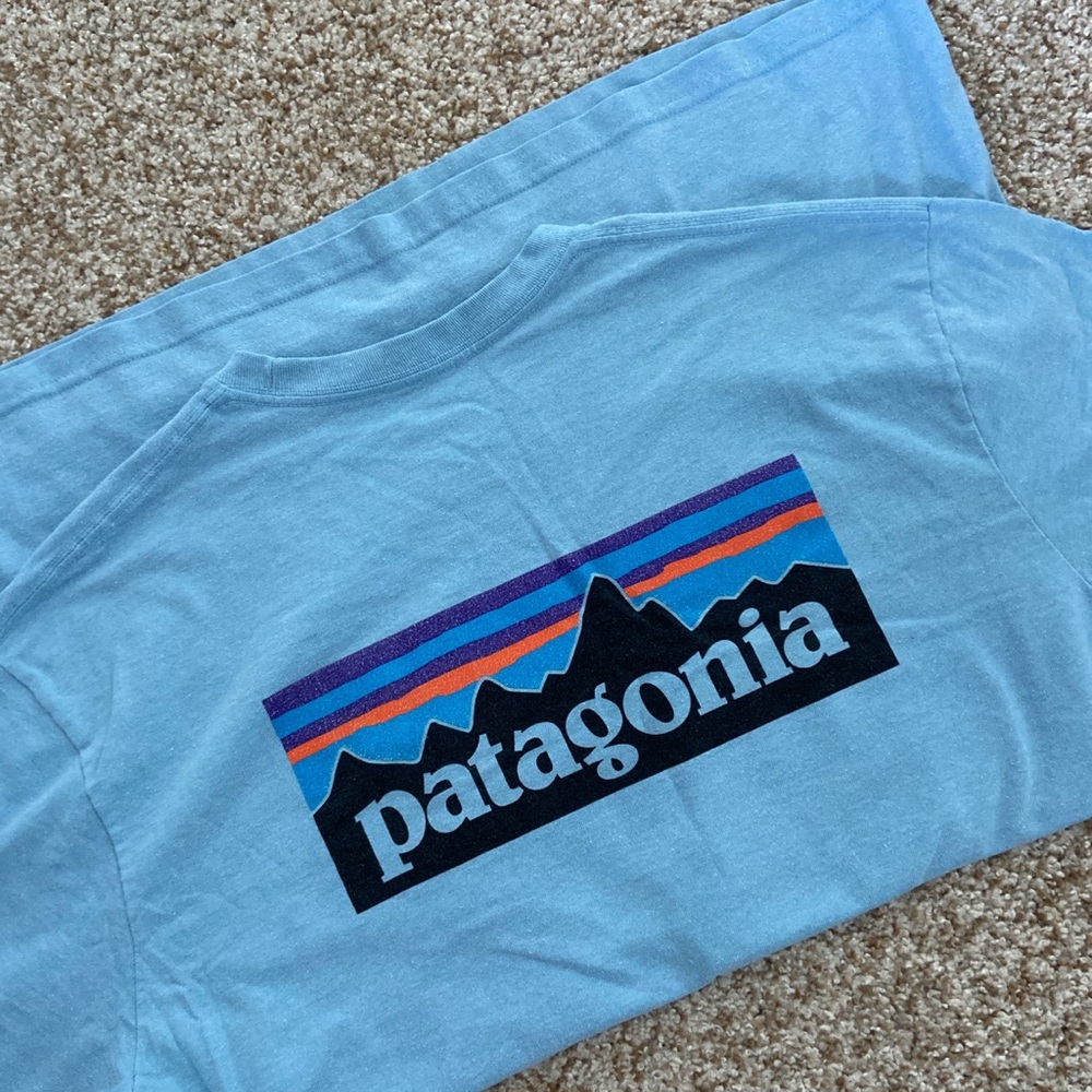 Patagonia “Responsibili-tee” t-shirt